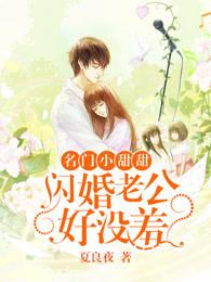 名门甜宠闪婚老公太强势百度百科