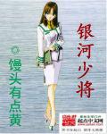 银河第三舰队