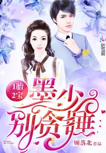 一胎一宝墨少别贪睡
