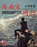与南宋并存的国家