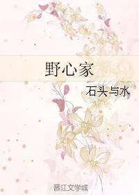野心家进入无限世界