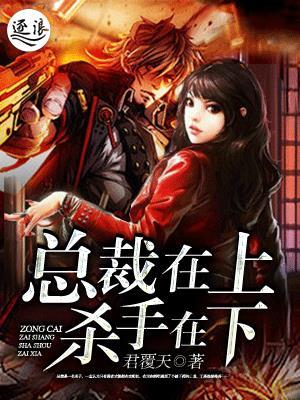 总裁在上虐吗