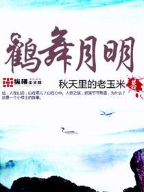 鹤舞什么意思