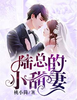 陆总的小甜妻子