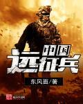 中国远征军总兵力多少人