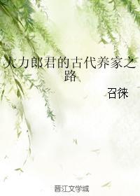 大力郎君的古代养家路无防盗