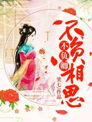 不负相思不负卿免费
