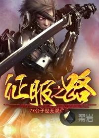征服之路詹姆斯pdf