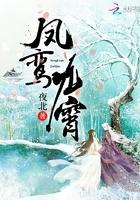 凤鸾九霄抄的哪本