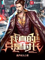 我真的只是村长手打