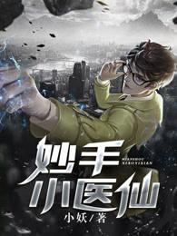 妙手小仙医仙