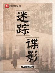 迷踪谍影 第522章
