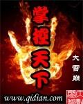 掌控天下之我是