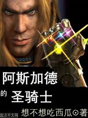 阿斯加德的圣骑士顶点