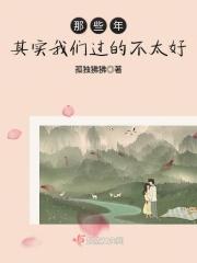 这些年我过得不好不坏歌词是什么意思