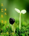 文艺生活怎么样