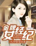 金牌经纪人全文阅读