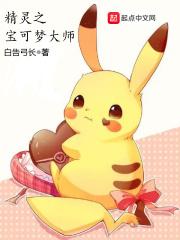 精灵宝可梦大师之旅