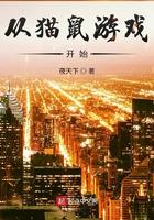 猫鼠游戏阅读