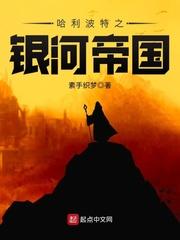 哈利波特之波特哈利