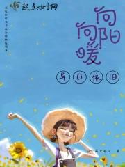 向阳处什么意思