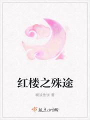 红楼之孕