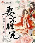 妻不如妾全文免费阅读