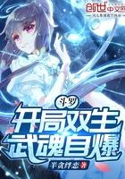 斗罗开局双生武魂自爆免费阅读