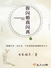 闪婚闪离全文免费阅读