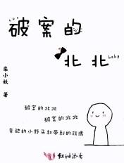 北京破案电视剧
