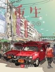 重生1983年娶空姐