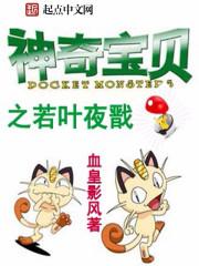 神奇宝贝之夜神