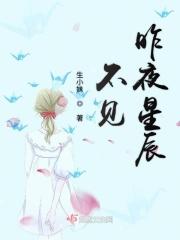 不见昨夜星辰是什么歌