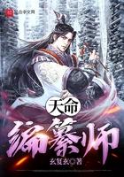 天命编纂师抄袭
