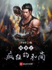 网游之疯狂盗贼