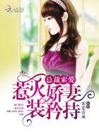 惹火总裁引妻入怀