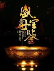 盛世宝鉴笔趣阁