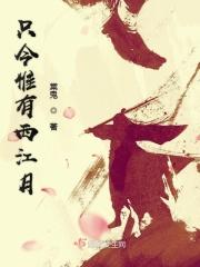 只今惟有西江月用了什么手法