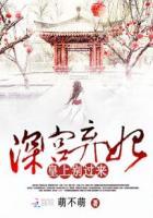 深宫弃妃皇上来嘛
