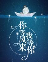 你等风来我等你全文免费阅读