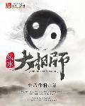 风水大相师顶点
