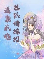 总裁追妻有妙招