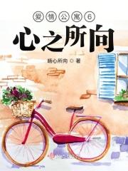 爱情公寓6巧合