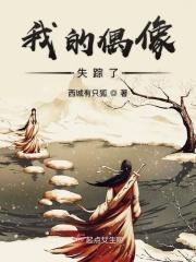 我的偶像3