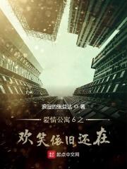 爱情公寓全程爆笑