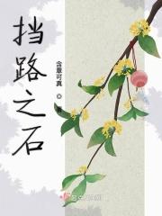 挡路石头图片