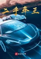 二手车王牌汽车价格个人转让