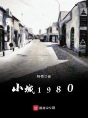 小城1980T TXT免费