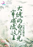 穿成摄政王后
