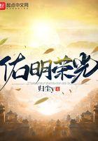 深圳市佑明光电怎么样